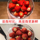 XMSJLED聚光灯杯COB射灯灯泡螺口调焦火锅店餐厅2700K高显色光源par20 8W3000K高显Ra9738