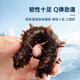 Fresh Jingcai Jingdong Fresh Private Brand Dalian Ready-to-Eat Sea Cucumber 1Jin Jin is equal to 0.5kg, 8-10 pieces, solid content exceeds 75%