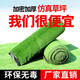 Qingya Lawn Simulated Turf Fake Grass Fence Outdoor Decoration Kindergarten Children's Playground Fake Lawn Artificial Fake Lawn 10mm Engineering Encrypted Thickened Grass