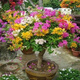 Bougainvillea seeds, Bougainvillea seeds, Bougainvillea flower seeds, Bougainvillea flower seeds, Potted Four Seasons Eight, Lansha 100 capsules