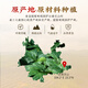 金七【三七粉】金七牌全株鲜三七精萃粉超细粉固体饮料送爸妈健康好礼 3盒