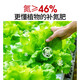 Basemanwei Urea Nitrogen Fertilizer Flowers, Vegetables and Fruit Trees Potted Planting Cauliflower Household Potted General Fertilizer Chemical Fertilizer Compound Fertilizer Urea (Nitrogen Fertilizer) 3Jin Jin is equal to 0.5 kg