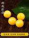 DOLP natural beeswax loose beads single round beads 6 8 10mm old honey chicken oil yellow amber separated beads star and moon bracelet accessories diameter about 10mm/single collection grade