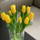 Sweet and Romantic Domestic Tulips 10 Random Colors