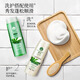 Bee Flower Aloe Vera Shampoo Hidrating Aloe Vera Té verde Hidratando y eliminando aceites para hombres y mujeres crema de champú 500ml