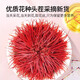 藏红花正品西藏泡水喝红花中药材特级养生茶精选长丝藏红花礼盒装 精选长丝藏红花礼盒
