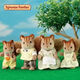 
Senbeier family Walnut squirrel family Playing house girl toy flocking doll Girl birthday gift for girlfriend