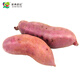 Jingxiansheng & Jiamei Serta Shandong Specialty Yellow Sweet Potato Sweet Potato Sweet Potato 5Jin Jin equals 0.5kg Export Grade Fresh Vegetables