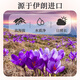 雷允上【官方】西红花 藏红花 番红花礼盒 养悦心藏红花5g礼盒0.5gx10瓶