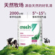 El polvo de proteína de suero de Onstin mejora la inmunidad después de la cirugía, suplementos nutricionales de la inmunoglobulina del calostro para adultos de mediana edad y ancianos [envía 1 botella de genocina] ocho latas de stock doméstico