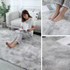 Zhenxiqi bedside carpet, bedroom bay window mat, living room plush warm carpet, coffee table mat, thickened non-slip carpet, light gray gradient color 80*200cm