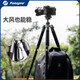 富图宝（Fotopro）FY-820 手机自拍杆相机摄影三脚支架 赠手机夹 原碳灰