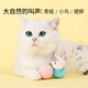 It's just a cat toy gravitational call ball, grinding teeth and making sounds, catnip pink color, catnip pink color