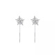 BJYLS999 Pure Silver Snowflake Tassel Ear Wire for Ear Pierced Sterling Silver Earrings and Earrings for Women Light Luxury High-end Niche Earrings Gift 999 Pure Silver Snowflake Ear Wire Pair