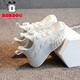 Babudou zapatillas para niños zapatos blancos para niños 2025 primavera nueva malla transpirable zapatos casuales sólidos suaves zapatos deportivos perla blanca 13547 (red doble) 26 longitud interior 16.6 cm