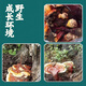 元族纯野生灵芝西藏正品干货林芝赤芝金边非孢子粉片礼盒装整枝500g克 灵芝1斤+30年以上桑黄700克以上