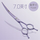 Black Bird Professional Pet Curved Scissors for Hair Shearing, Beauty Scissors, Straight Shear, Teddy VIP Bichon Frize Dog Hair Trimming, 6.25/7 inches, 7.0 inches, Violet (curved scissors)