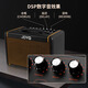 JOYO Guitar Singing Speaker AC40S Outdoor Roadshow Indoor Live Broadcast Internal Recording of Karaoke Charging Bluetooth Speaker AC-40S+JW-03 Musical Instrument Wireless Connector