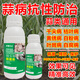 Garlic Bacteria Extract Original Liquid Garlic Special Medicine Dry Tip Yellow Leaf Root Rot Leaf Blight Rust Purple Spot Sterilizing Garlic Bacteria Clear 100ml 1 Bottle