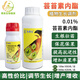 Dapeng 24-Epibrassinolide 0.01% flower, fruit and vegetable growth regulator that reduces flower and fruit drop 500ml