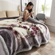 南极人拉舍尔毛毯加厚10斤双层保暖盖毯冬季加绒婚庆结婚送礼珊瑚绒毯子 水墨年华 180x220cm 约6斤