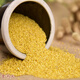 People's Food Shaanxi Yulin Rice Fat Millet Millet Millet Millet Millet Millet Millet Millet Millet Millet Millet Millet Millet Millet Millet Millet Millet Millet Millet Millet Millet Millet Millet Millet Millet Millet Millet Millet Millet Millet Millet Millet Millet Millet Millet Millet Millet Millet Millet Millet Millet Millet Millet Millet Millet Millet Millet Millet Millet Millet Millet Millet Millet Millet Millet Millet Millet Millet Millet Millet Millet Millet Millet Millet Millet Millet Millet Millet Millet Millet Millet Millet Millet Millet Millet Millet Millet Millet Millet Millet Millet Mi