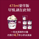 Haagen-Dazs grape rum vat ice cream 473ml/tub ice cream