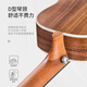 ACACIA Bird Ukulele Ukulele Ukulele Small Guitar Great Examing Play Acacia Wood 23 pulgadas