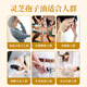 内廷上用正宗蓝帽合辉牌灵芝孢子油软胶囊破壁孢子粉提取长白山增强 蓝帽合辉牌灵芝孢子油软胶60粒