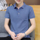 FBFA Hong Kong Trendy Brand Summer Summer Hombres de manga corta Color de color sólido Camiseta Versátil de negocios para hombres con collar 686 Light Blue L (110-125Jin [Jin equivale a 0.5 kg])