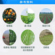 Shanghai Lian Plant Protection 757 Glyphosate Ammonium Salt 68% Glyphosate Glyphosate soluble granules Pesticide Non-cultural wasteland roadside weeds and roots will not damage the soil herbicide 50g/bag*1 bag