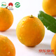 京觅广西融安第二代脆皮金桔 5号果-彩盒3斤装 单果10g+ 源头直发