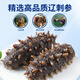 渔游记（YUYOUJI） 大连冷冻即食海参礼盒2斤30-40头辽刺参 固形物≥60%海鲜水产