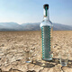 
Delongbee Tequila tequila tequila base wine Mezcal tequila tequila tequila 750mL 1 bottle