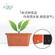 
BloomLife Long flower pot 500 deep pots of rice white 38L vegetable pot 17078