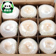 
Hainan coconut green fresh coconut 9 now peeled old coconut big pregnant women's fruits in the whole box of seasonal specialties 4 - 1050g (inclusive) or above
