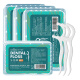 Hai's Hainuo Floss Stick 50-polige*4-Box tragbare Box transportiert eine tiefe Reinigung