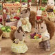 
Senbeier family Walnut squirrel family Playing house girl toy flocking doll Girl birthday gift for girlfriend