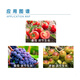 Yiguoling 0.1% Thidiazuron Grape Big Fruit Fruit Setting Ling promotes fruit production and increases tomato and jujube tree growth regulator 120ml (full box of 20 boxes)