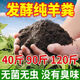 40Jin Jin is equal to 0.5kg. Pure sheep manure organic fertilizer for growing vegetables and flowers. Universal fermented chicken manure orchard nutrient soil. 29.9Jin Jin is equal to 0.5kg. No root burning, no insects and no smell. Inner Mongolia fermented pure sheep manure. 99 items left in the event.