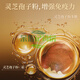 
Tongrentang Ganoderma lucidum spore powder, Broken Wall Ganoderma lucidum spore powder capsule, Postoperative nutritional products for adults, middle-aged and elderly people, 60 capsules/bottle North 60 capsules/bottle Beijing Tongrentang Broken Wall Ganoderma lucidum spore powder capsule