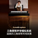 TERENCE PIANO智慧钢琴立式88键重锤电钢琴智能自动挡弹唱自学电子钢琴新手入门 特伦斯Ai钢琴+终身会员