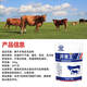 Appetizer for male animal husbandry, king pig, cattle and sheep, appetizer, digestion and growth promotion, pig fattening, weight gain, spleen appetizer, meat growth and stomach strengthening powder. Buy 5 and get 1 free. 6 bags.