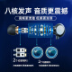 铂典（POLVCDG） type-c耳机有线入耳式游戏耳机降噪睡眠运动适用于小米vivo华为OPPO 陶瓷耳机【Type-C极光黑】
