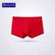 Byford Men's Boxer sous-vêtements confortable EUC Coton Stretch Boxer Mid-Waist Men's Pantals Shorts Red Gift MW718 / 719 MW718 WHITE 1 PATCH XL