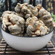 Moyuan Panax Notoginseng Chinesische medizinische Materialien Yunnan Wenshan Echtes Panax Notoginseng Wurzel 20-Tow Tianqi Frisch rohe Panax Notoging Non-Wild Wine Pulver [20 Panax NotoginSeng] 50g