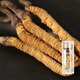 Hu Qingyutang Nagqu Cordyceps sinensis 1.1g can gift box for natural growth of outdoor nutritional supplements and supplements for gifts for elders and parents 1 bottle