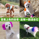 Dog hair dye, pet-specific VIP Bichon Teddy animal dye, cat dye, hair dye, Pomeranian long-lasting violet