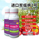 Imported No. 2 anthracnose fungicide, pepper, cucumber, tomato, watermelon, grape and strawberry anthracnose special medicine 3 bottles 500g/bottle