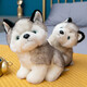 Youyu Husky Plüsch Spielzeugpuppe süßer super süßes Hund Welpe Erha Puppe Kleine Trompete Mädchen Simuliert Saint Bernard Trompete, 20 cm